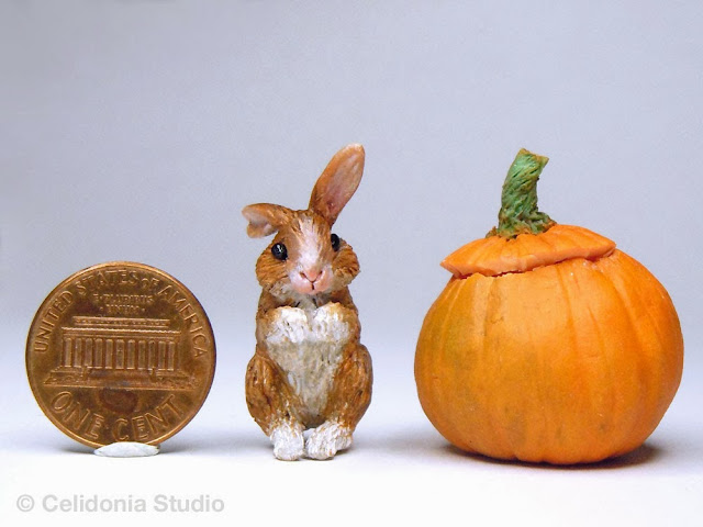 Miniature Rabbit in Pumpkin