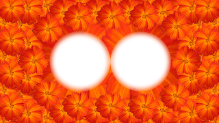 1 Moldura flor laranja especial 2 fotos png