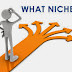 Niche Blog yang cocok untuk adsense 