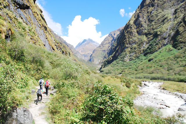 Trekkers trekking in Himalaya