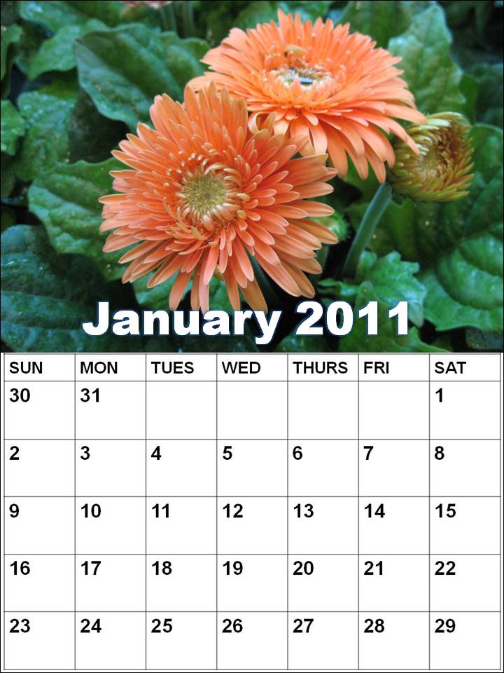 january calendars. Blank Calendar 2011 January or