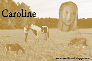 Carolines blogg ♥