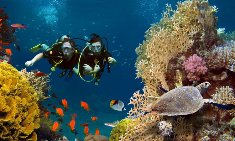 Lancement  au Seychelles du programme Ocean's Resolve pour inciter les entreprises locales à travailler dans la conservation et la protection des récifs coralliens.