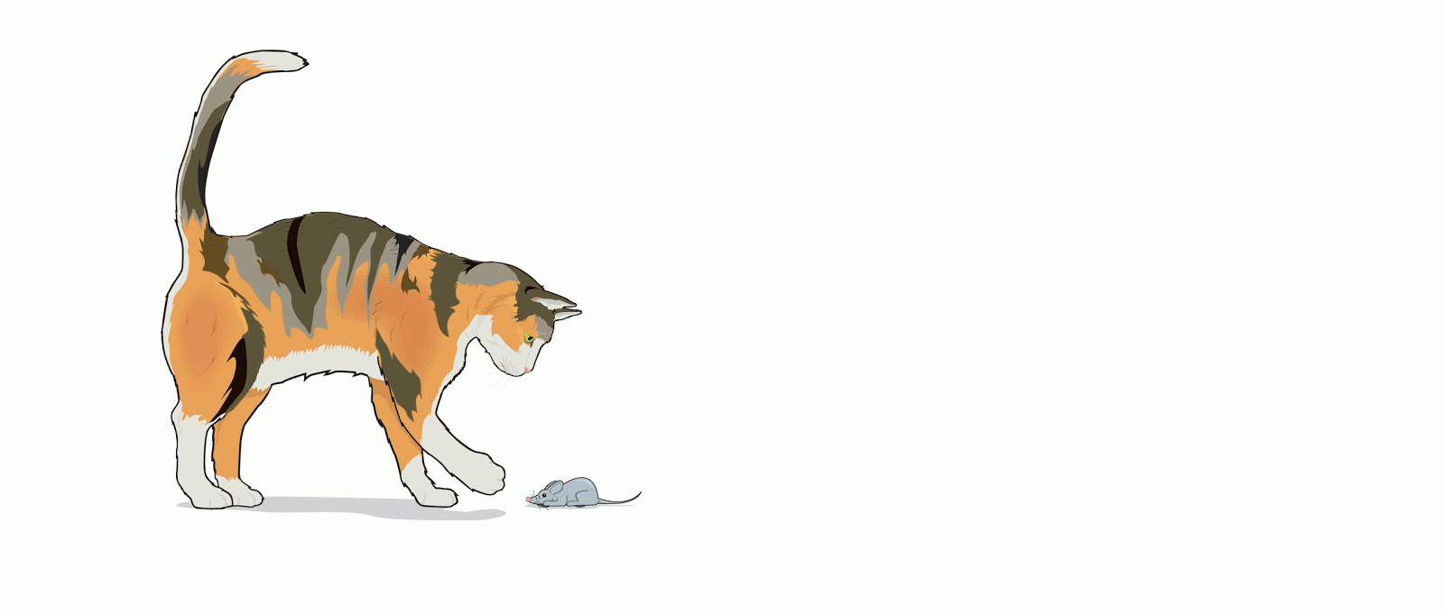 Kumpulan Kucing Animasi Lengkap