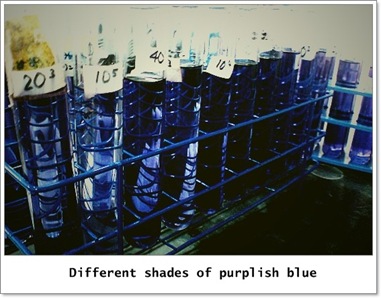 nitrogen assay
