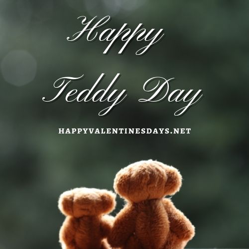 Teddy day pics