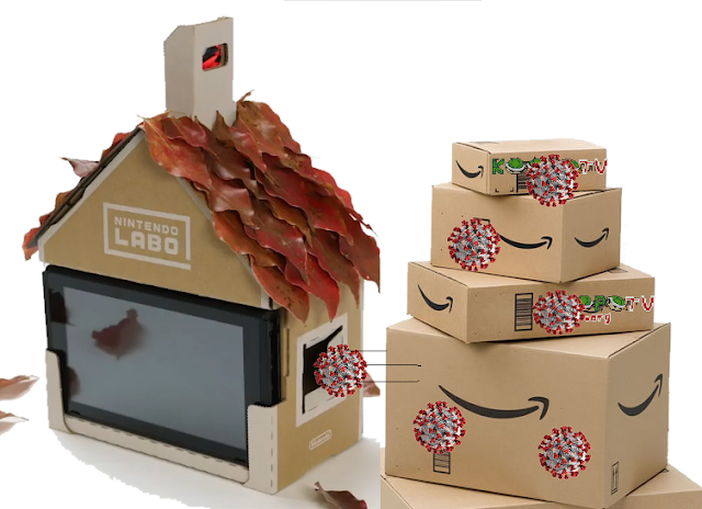 Coronavirus COVID-19 cardboard boxes outside house shipping 24 hours Nintendo Labo