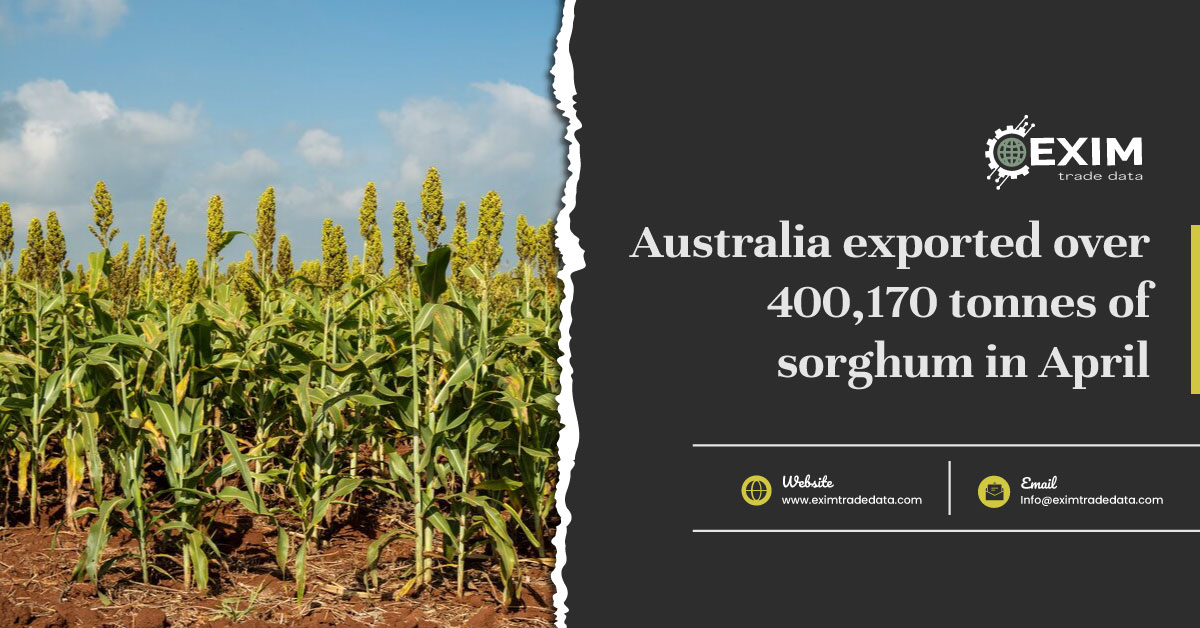 Australia exported over 400,170 tonnes of sorghum