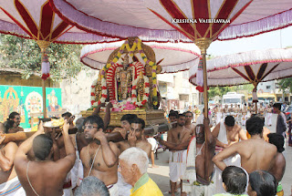 Ippasi Thirumoolam,Sattrumurai, Manavala Maamunigal,Purappadu,2016, Video, Divya Prabhandam,Triplicane,Thiruvallikeni,Utsavam,