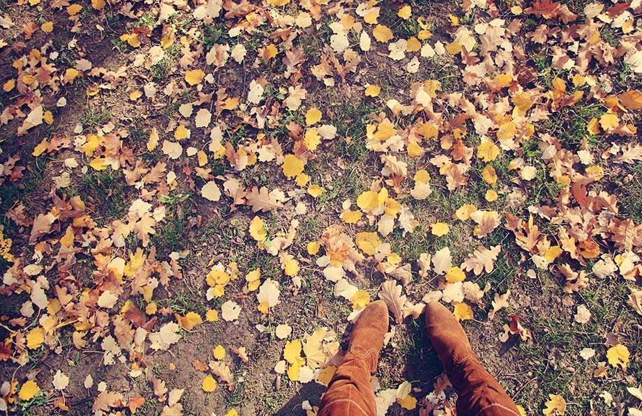 Best Things To Do in Vienna This Autumn, boots autumn vienna walk