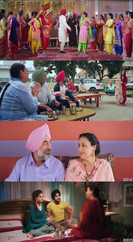 Ni Main Sass Kuttni 2022 Punjabi 720p 480p WEB-DL x264 Full Movie