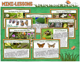 Butterfly life cycle lessons and activities