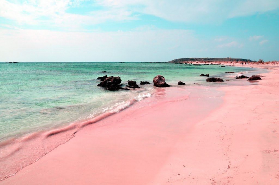 The Unique Pink Sands Beach in Harbour Island, the Bahamas