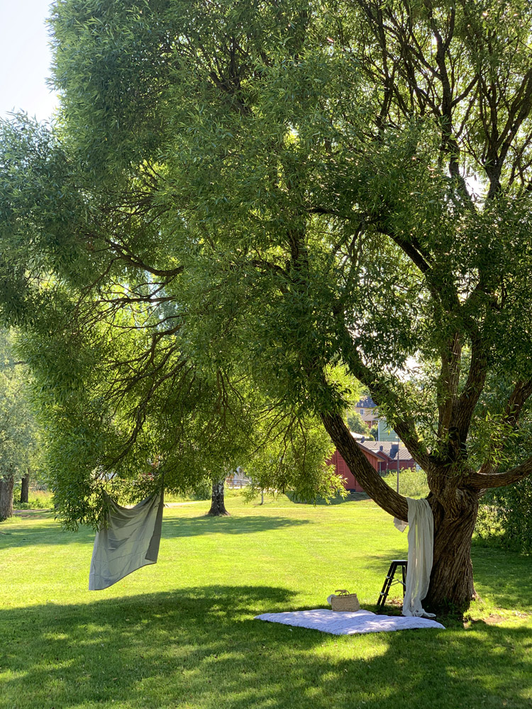 Picnic blanket under the tree, a cloth hanging from tree branches