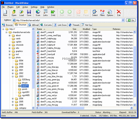 BlackWidow can scan and reproduce the directory structure of a website easily