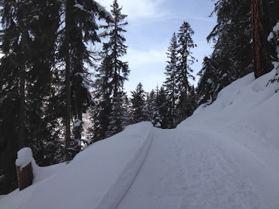 Winterlandschaft - einfach zauberhaft