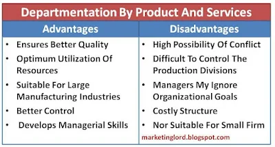 advantage-disadvantage-departmentation-by-products-services