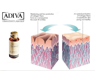 Hình ảnh Collagen Adiva 2016