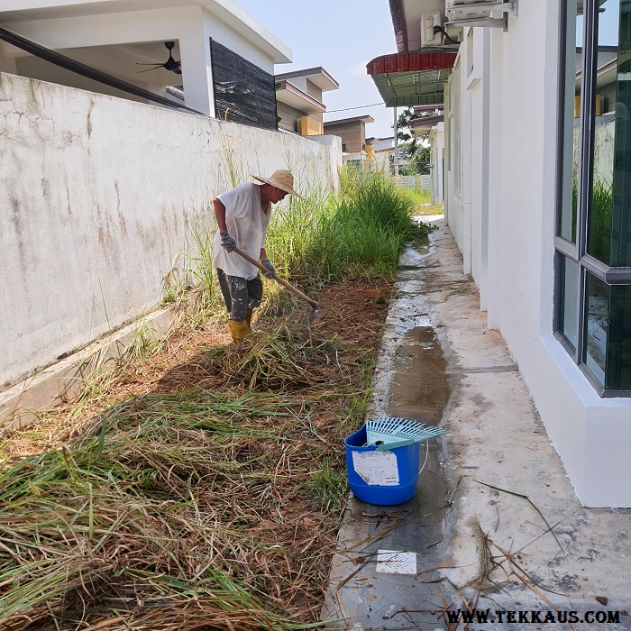 Clearing Weeds Using Hoe Garden Tool