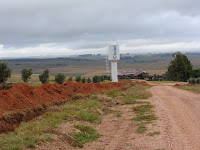 Curtas - Fazenda Batalha pronta pra colheita das oliveiras 