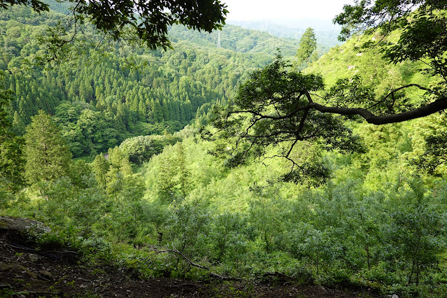 鳥取県西伯郡南部町八金 金華山登山道からの眺望