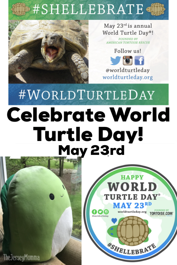 Celebrate World Turtle Day 5 23 With Henry From Squishmallows The Jersey Momma