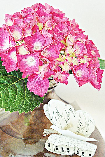 blog 2