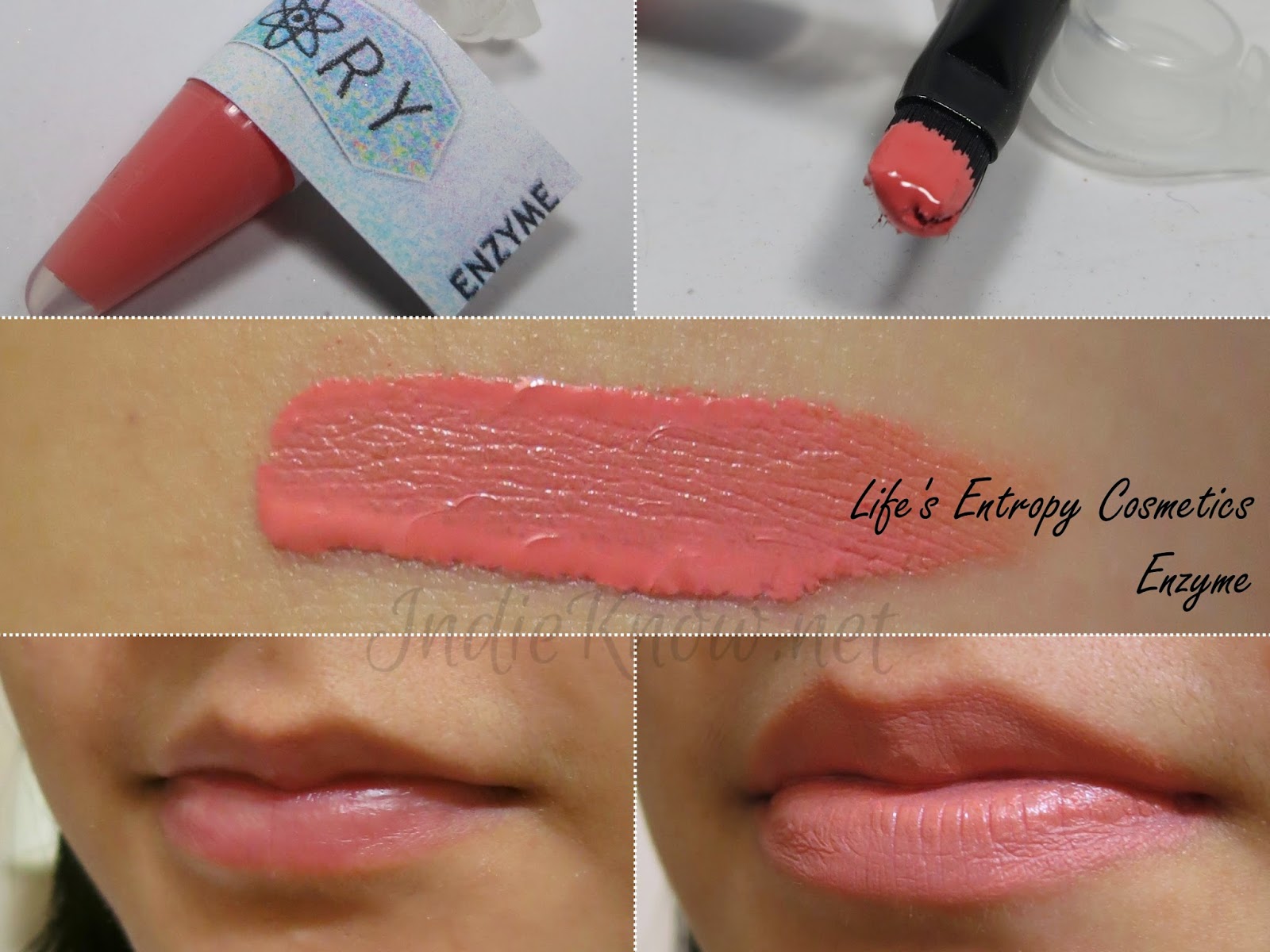 Life's Entropy Cosmetics Lip Theory Enzyme