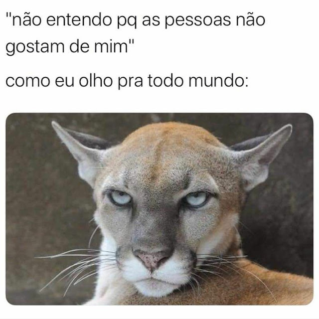 Memes engraçados