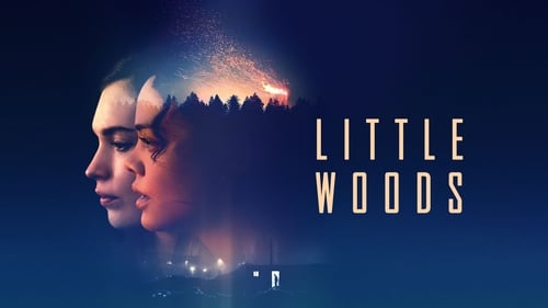 Little Woods 2019 online sehen