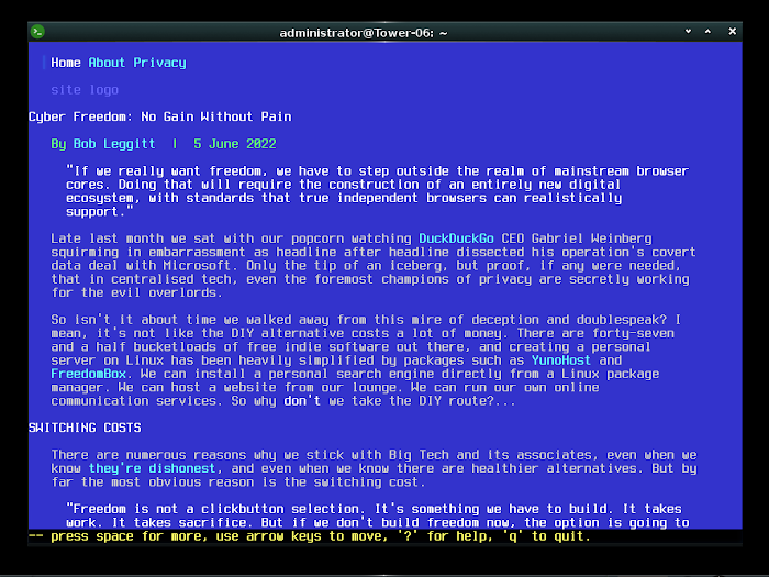 Lynx browser in the Terminology terminal