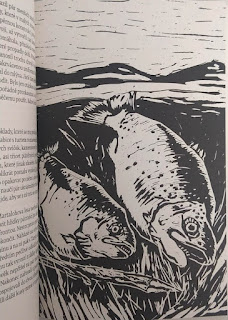 Raci v hlavě (Rudolf Král, ilustrace: Sabina Chalupová, nakladatelství Albatrosmedia – Vyšehrad)