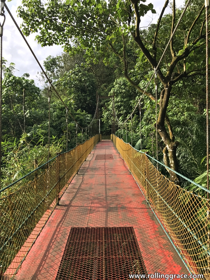 Bukit kiara suspension bridge