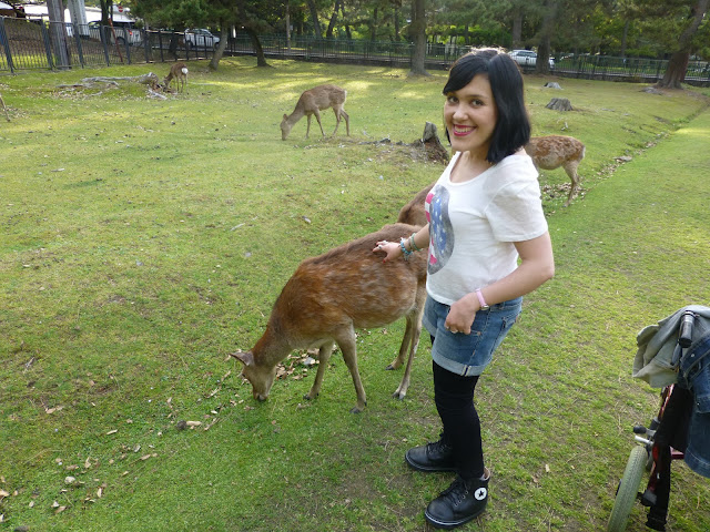 rencontre avec les cerfs à Nara au Japon