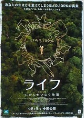 映画チラシ紹介「2011年作品②」「映画資料ブログ」