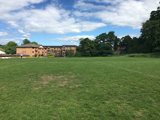 A grassy field with buildings behind it.