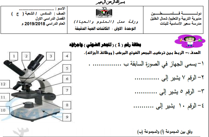 ورقة عمل في الوحدة الأولى (الكائنات الحية الدقيقة) للصف السادس الفصل الأول