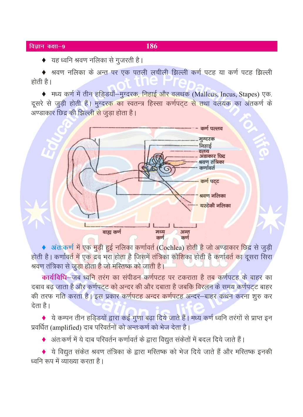 Bihar Board Class 9th Physics | Sound | Class 9 Physics Rivision Notes PDF | ध्वनि | बिहार बोर्ड क्लास 9वीं भौतिकी नोट्स | कक्षा 9 भौतिकी हिंदी में नोट्स