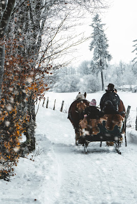 sleigh ride