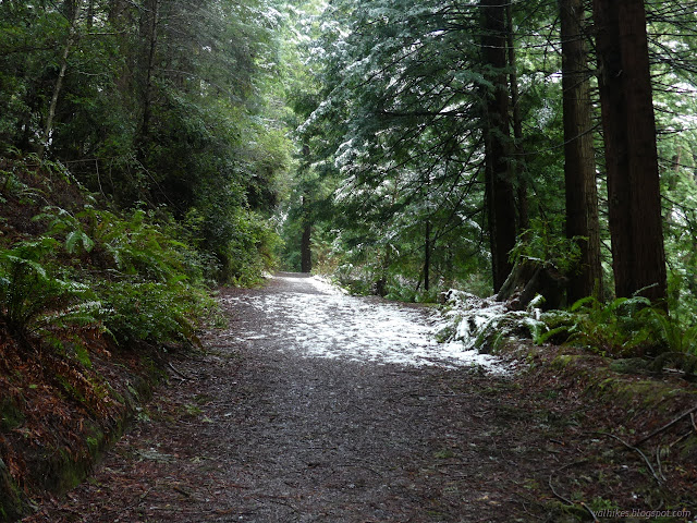 03: patches of road with and without snow