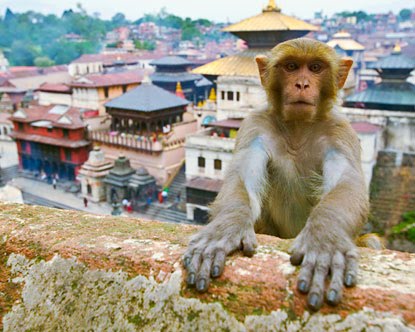 nepal tourism