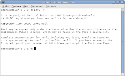 Выполнение команды perl -v для определения версии 