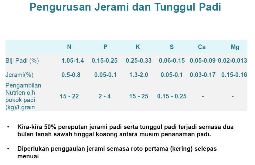 MUSUH ALAMI-PREDATOR: Pengurusan jerami padi