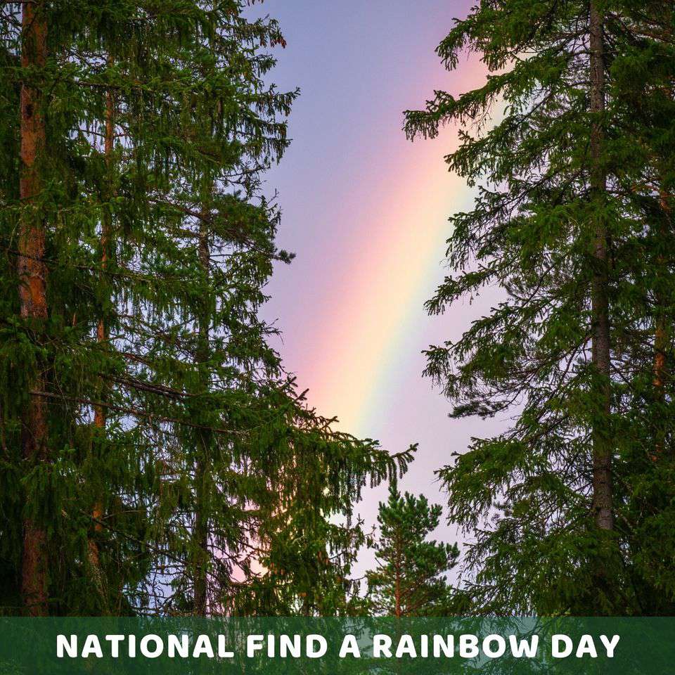 National Find a Rainbow Day Wishes Awesome Images, Pictures, Photos, Wallpapers