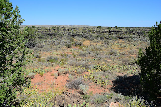 Carrizozo lava field