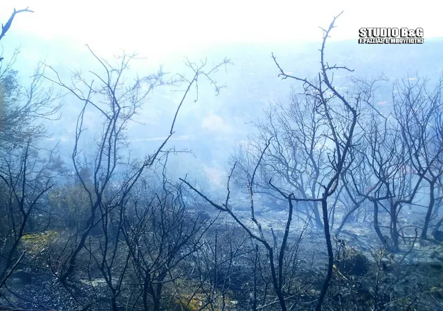Πλήρης κατάσβεση της πυρκαγιάς στον Γαλατά Τροιζηνίας