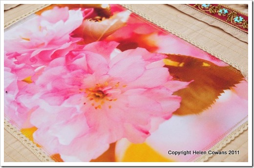Cherry Blossom close3