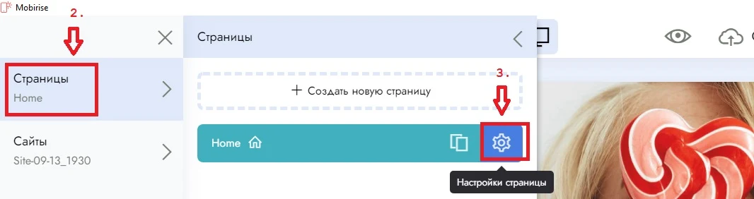страница настроек в mobirise