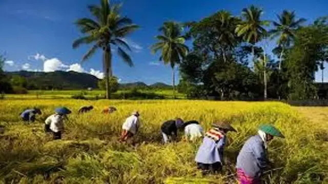 The natural beauties of Bangladesh