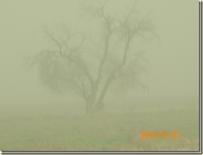 Sandstorm4